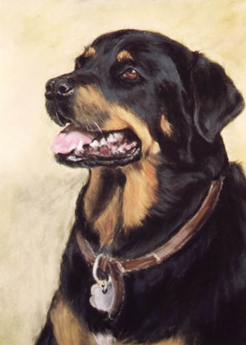 https://www.portraitsandprints.com/images/rottweiller.jpg
